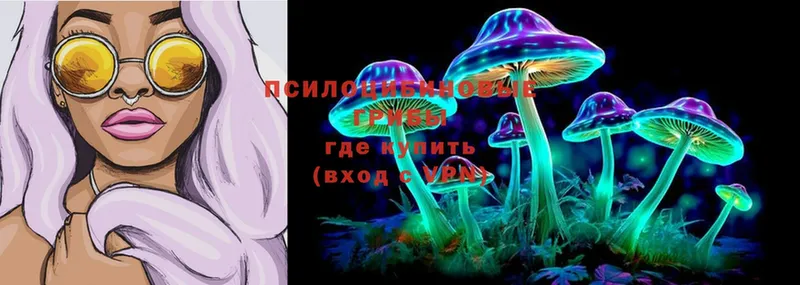 Псилоцибиновые грибы Cubensis  купить   Новоульяновск 